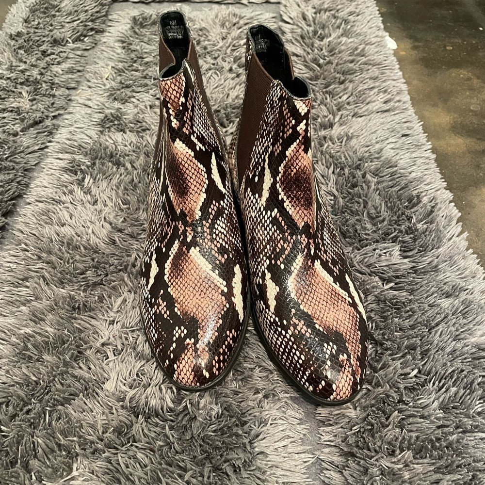 Alex Marie Shoes New Alex Marie Gloriane Snake Print Chelsea Booties